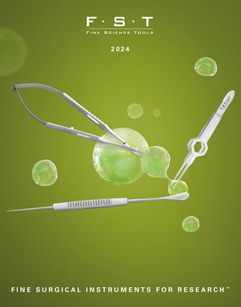 2024 Green Bubble