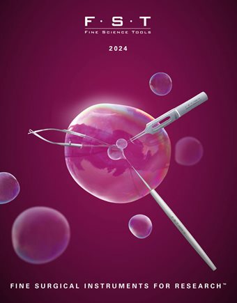 2024 Purple bubble